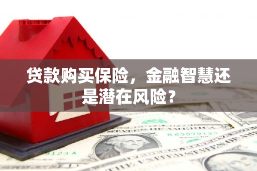 扎赉诺尔贷款购买保险，金融智慧还是潜在风险？