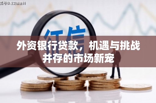 扎赉诺尔外资银行贷款，机遇与挑战并存的市场新宠