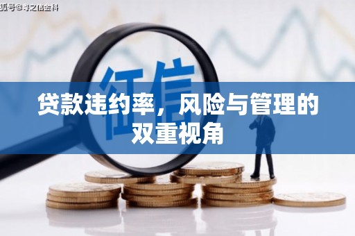 扎赉诺尔贷款违约率，风险与管理的双重视角