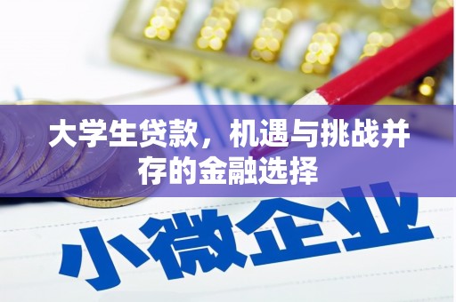 扎赉诺尔大学生贷款，机遇与挑战并存的金融选择
