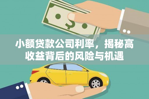 扎赉诺尔小额贷款公司利率，揭秘高收益背后的风险与机遇