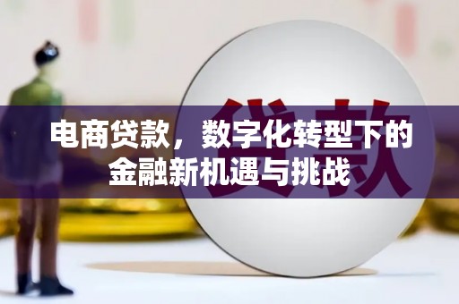 扎赉诺尔电商贷款，数字化转型下的金融新机遇与挑战