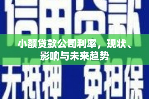 扎赉诺尔小额贷款公司利率，现状、影响与未来趋势