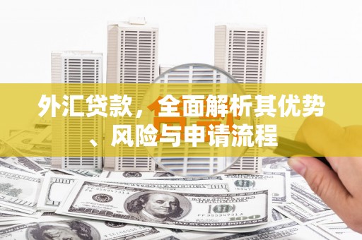 扎赉诺尔外汇贷款，全面解析其优势、风险与申请流程