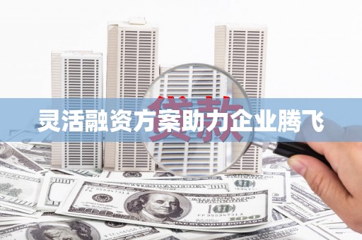扎赉诺尔灵活融资方案助力企业腾飞