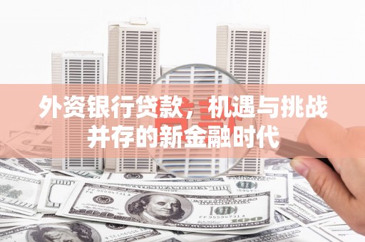 扎赉诺尔外资银行贷款，机遇与挑战并存的新金融时代