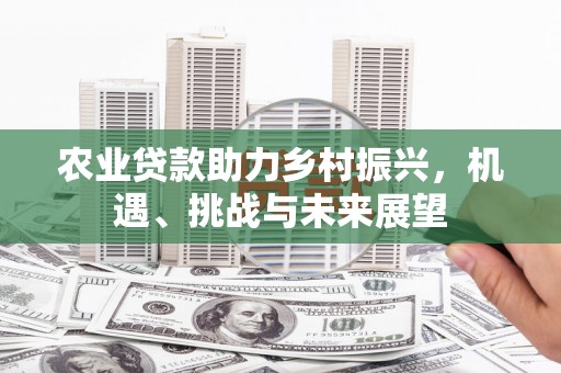 扎赉诺尔农业贷款助力乡村振兴，机遇、挑战与未来展望