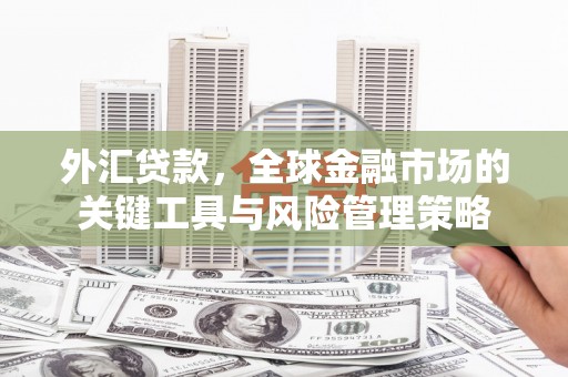 扎赉诺尔外汇贷款，全球金融市场的关键工具与风险管理策略