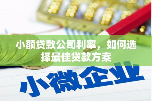 扎赉诺尔小额贷款公司利率，如何选择最佳贷款方案