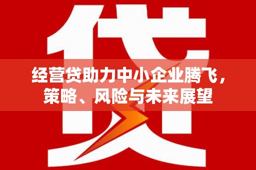 扎赉诺尔经营贷助力中小企业腾飞，策略、风险与未来展望