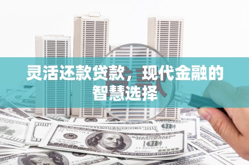 扎赉诺尔灵活还款贷款，现代金融的智慧选择