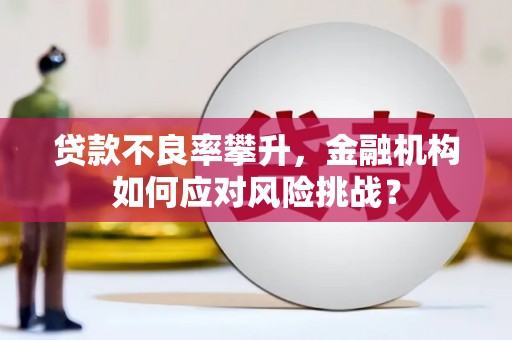 扎赉诺尔贷款不良率攀升，金融机构如何应对风险挑战？