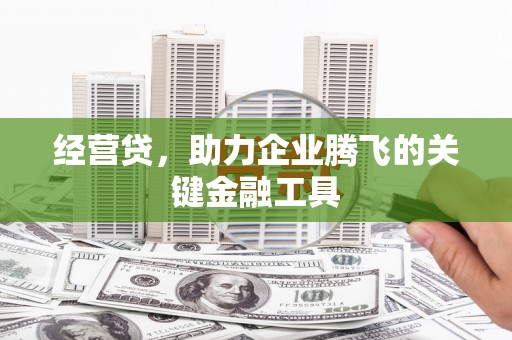扎赉诺尔经营贷，助力企业腾飞的关键金融工具