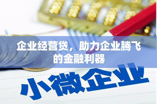 扎赉诺尔企业经营贷，助力企业腾飞的金融利器