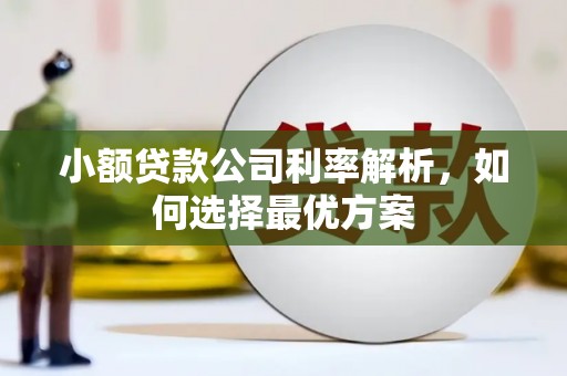 扎赉诺尔小额贷款公司利率解析，如何选择最优方案