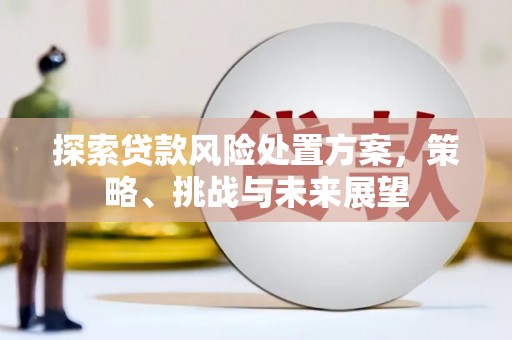 扎赉诺尔探索贷款风险处置方案，策略、挑战与未来展望