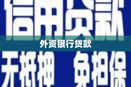 扎赉诺尔外资银行贷款