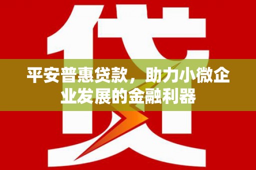 扎赉诺尔平安普惠贷款，助力小微企业发展的金融利器