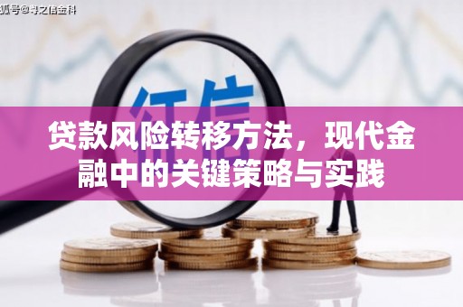 扎赉诺尔贷款风险转移方法，现代金融中的关键策略与实践