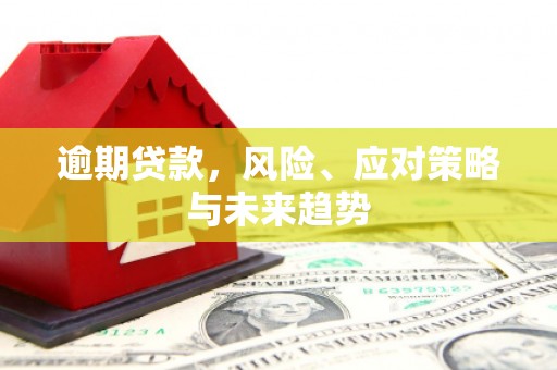 扎赉诺尔逾期贷款，风险、应对策略与未来趋势