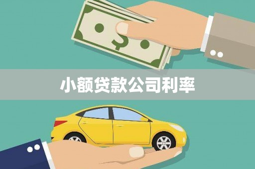 扎赉诺尔小额贷款公司利率