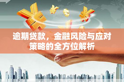 扎赉诺尔逾期贷款，金融风险与应对策略的全方位解析