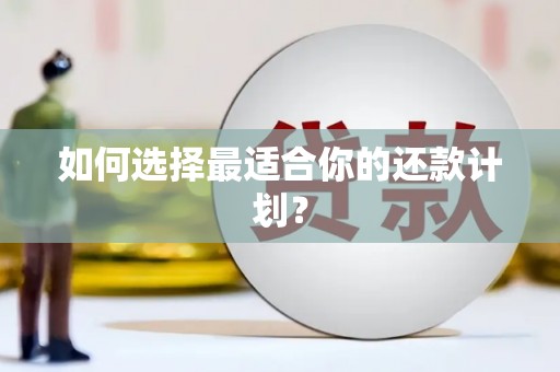 扎赉诺尔如何选择最适合你的还款计划？