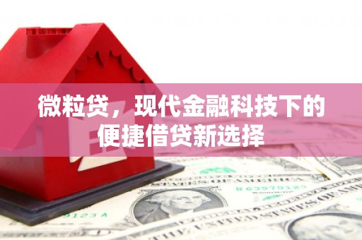 扎赉诺尔微粒贷，现代金融科技下的便捷借贷新选择