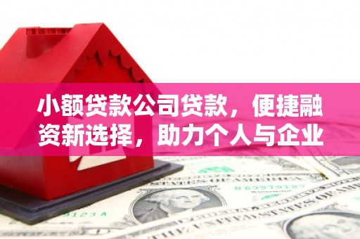 扎赉诺尔小额贷款公司贷款，便捷融资新选择，助力个人与企业成长
