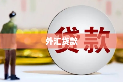 扎赉诺尔外汇贷款