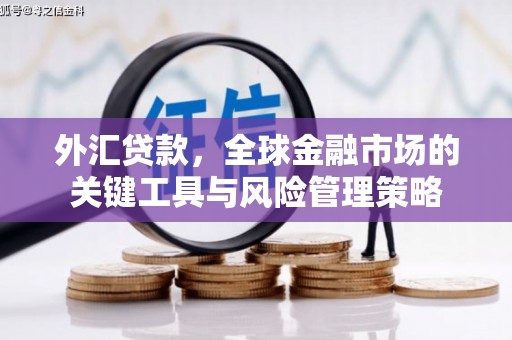 扎赉诺尔外汇贷款，全球金融市场的关键工具与风险管理策略