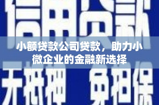 扎赉诺尔小额贷款公司贷款，助力小微企业的金融新选择