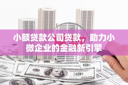 扎赉诺尔小额贷款公司贷款，助力小微企业的金融新引擎
