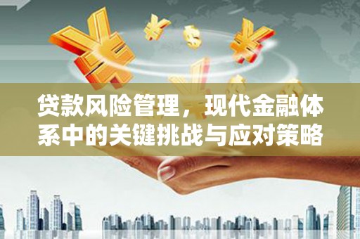 扎赉诺尔贷款风险管理，现代金融体系中的关键挑战与应对策略