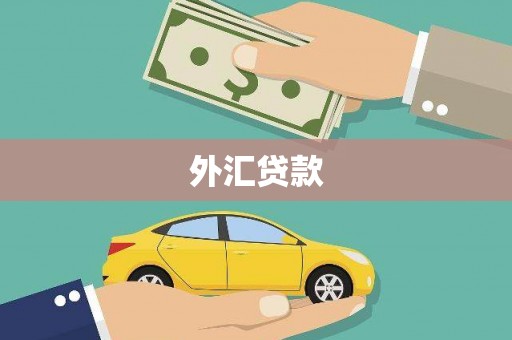 扎赉诺尔外汇贷款