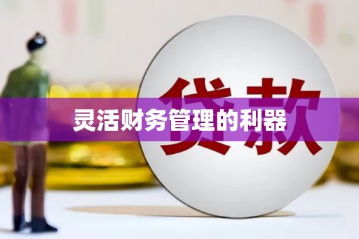 扎赉诺尔灵活财务管理的利器