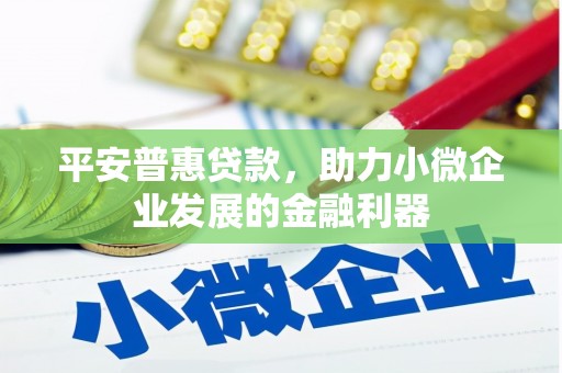 扎赉诺尔平安普惠贷款，助力小微企业发展的金融利器