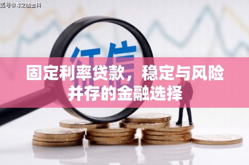 扎赉诺尔固定利率贷款，稳定与风险并存的金融选择