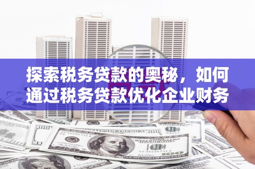 扎赉诺尔探索税务贷款的奥秘，如何通过税务贷款优化企业财务