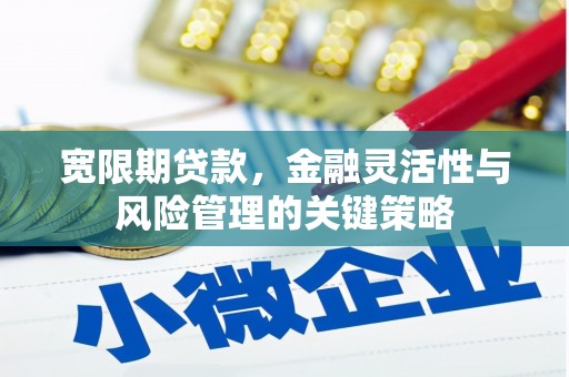 扎赉诺尔宽限期贷款，金融灵活性与风险管理的关键策略
