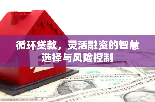 扎赉诺尔循环贷款，灵活融资的智慧选择与风险控制