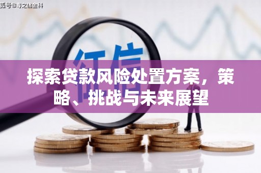 扎赉诺尔探索贷款风险处置方案，策略、挑战与未来展望