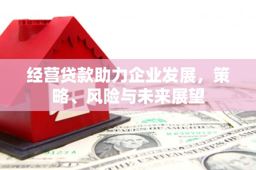 扎赉诺尔经营贷款助力企业发展，策略、风险与未来展望