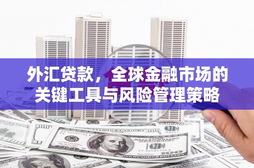 扎赉诺尔外汇贷款，全球金融市场的关键工具与风险管理策略