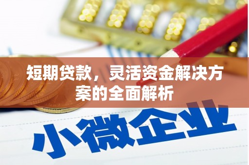 扎赉诺尔短期贷款，灵活资金解决方案的全面解析