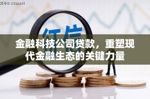 扎赉诺尔金融科技公司贷款，重塑现代金融生态的关键力量