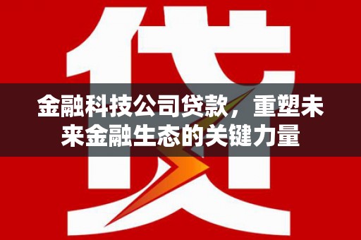 扎赉诺尔金融科技公司贷款，重塑未来金融生态的关键力量