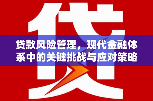 扎赉诺尔贷款风险管理，现代金融体系中的关键挑战与应对策略