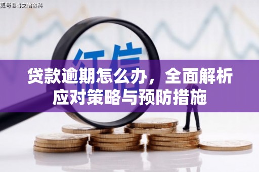 扎赉诺尔贷款逾期怎么办，全面解析应对策略与预防措施