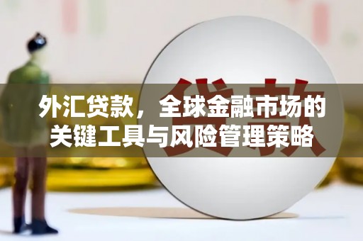 扎赉诺尔外汇贷款，全球金融市场的关键工具与风险管理策略